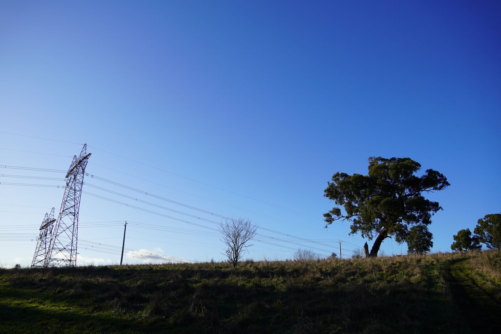 nature