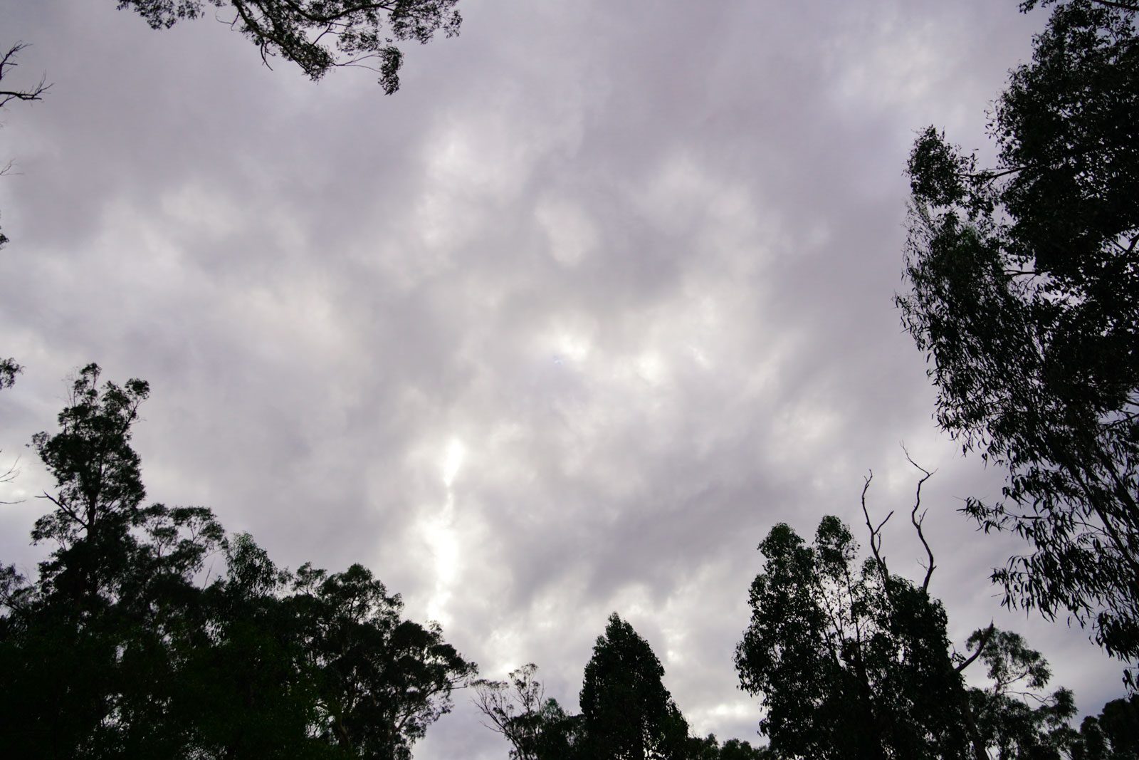 gray-sky