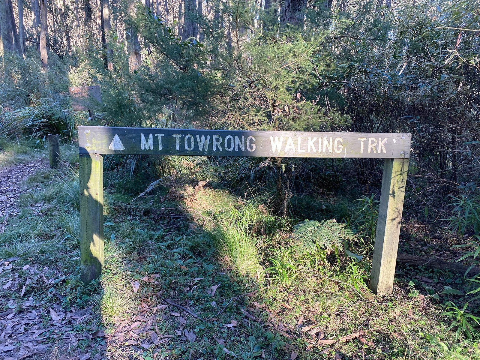 mount-Towrong-walking-track
