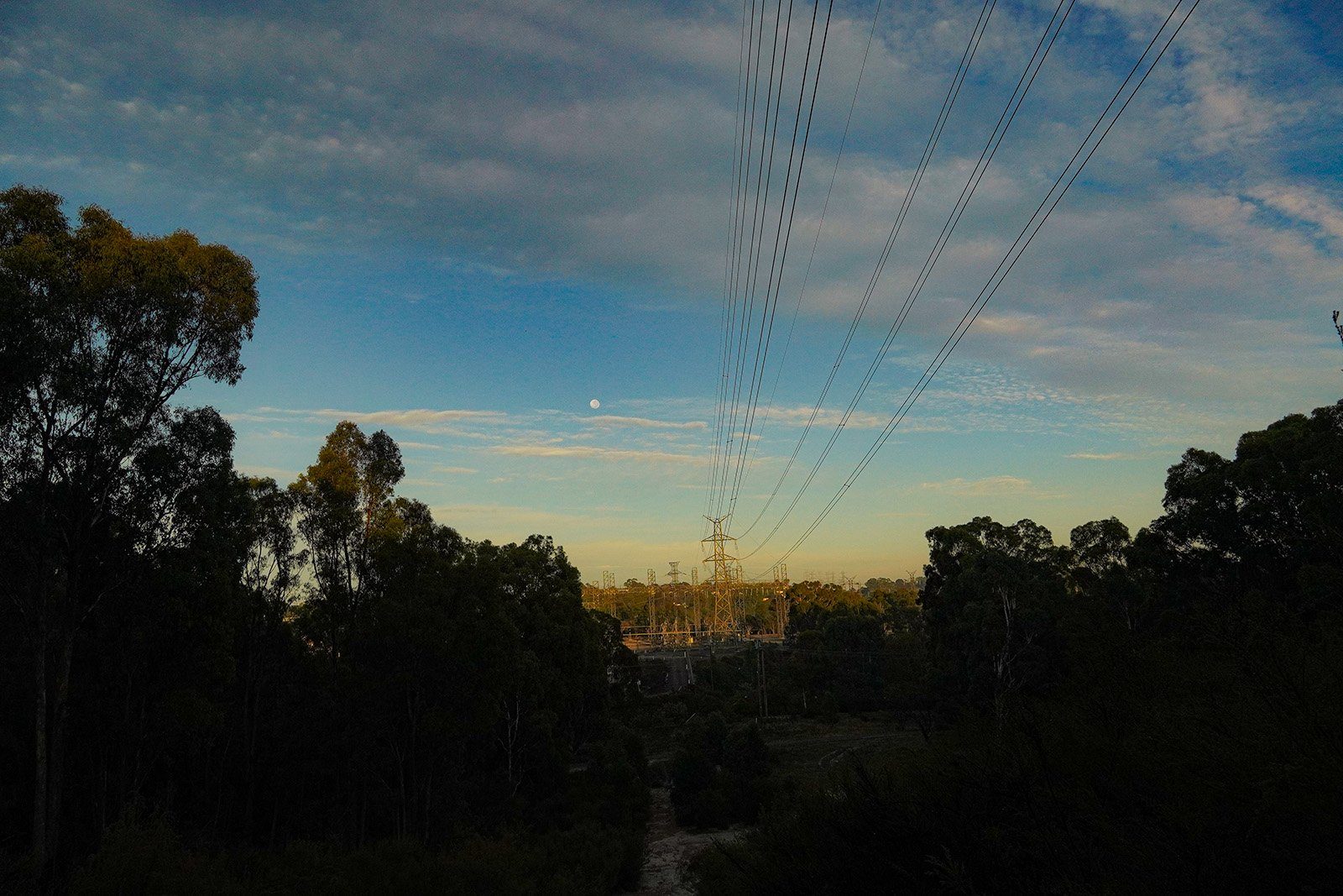 the-cloudy-sky-with-trees